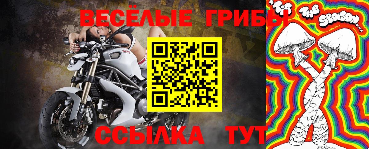 Галлюциногенные грибы мицелий Норильск